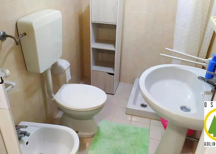 Holiday Nature 乡村民宿 *